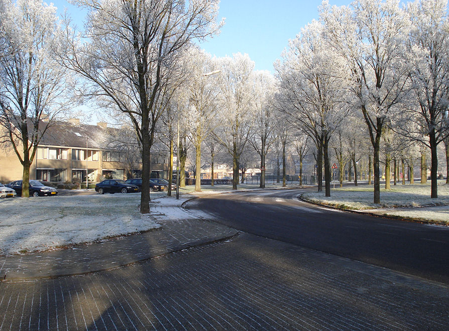 foto: Thijs de Leeuw