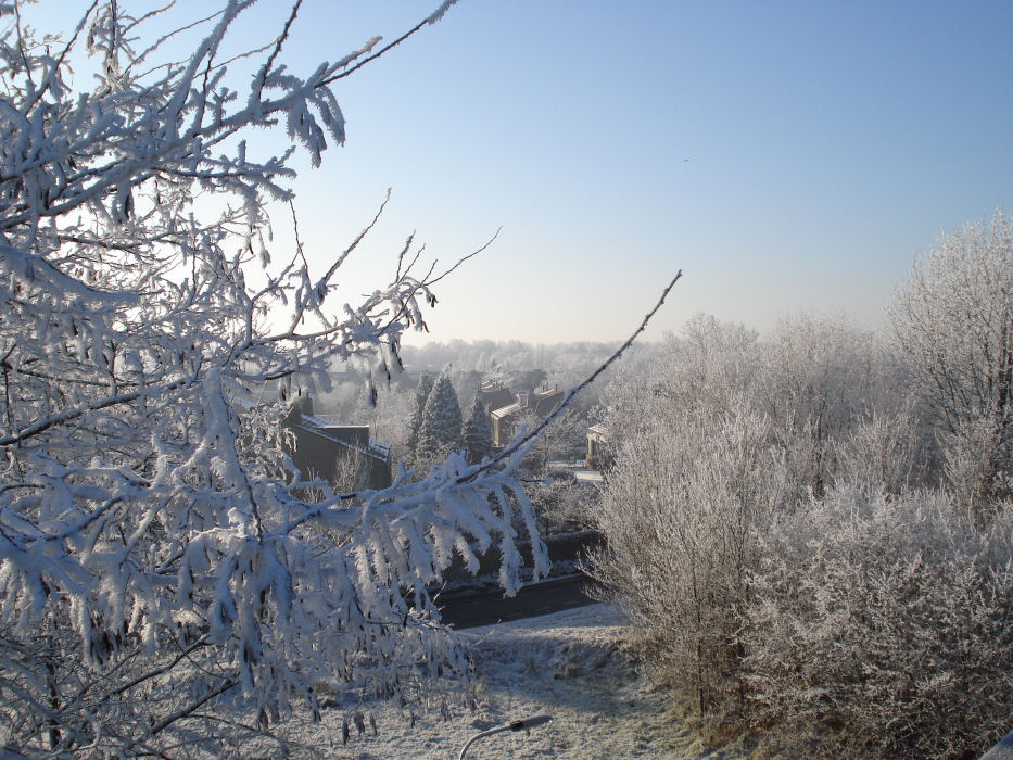foto: Thijs de Leeuw