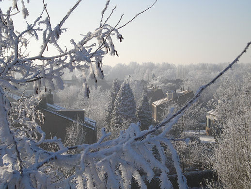 foto: Thijs de Leeuw