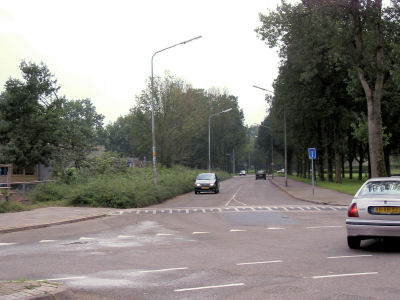 Gerooide bomen 11e straat
