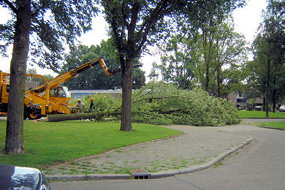 foto: Jan van de Wetering