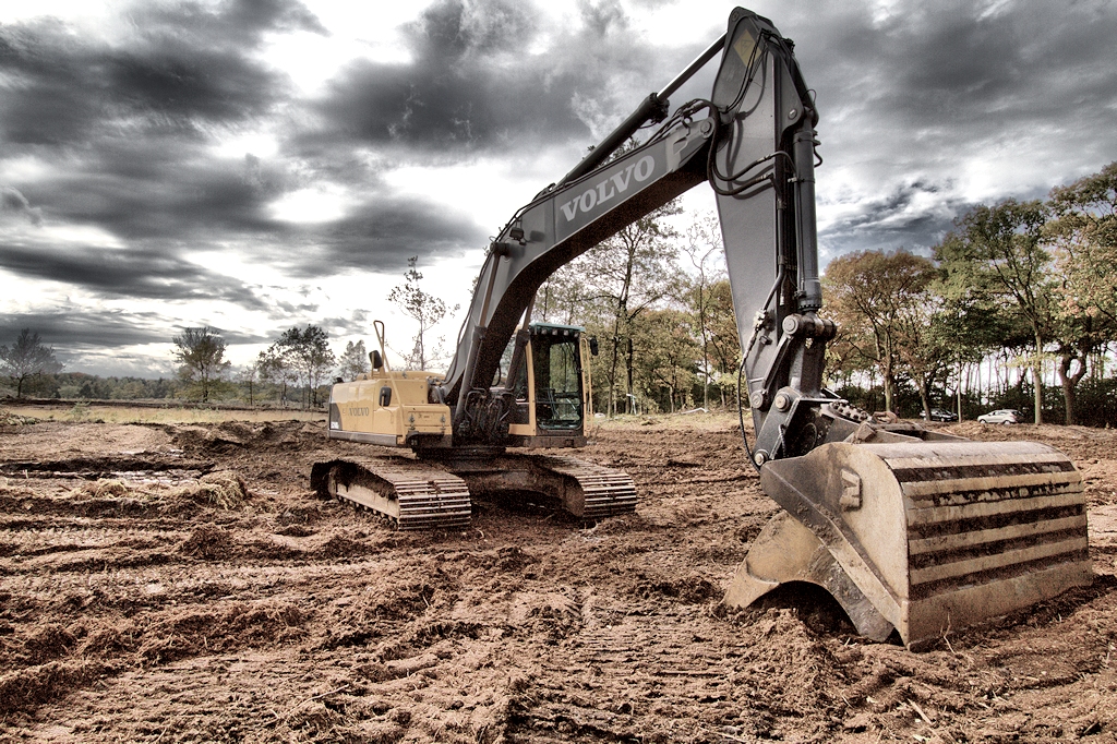 bomenkap-hatertse-vennen